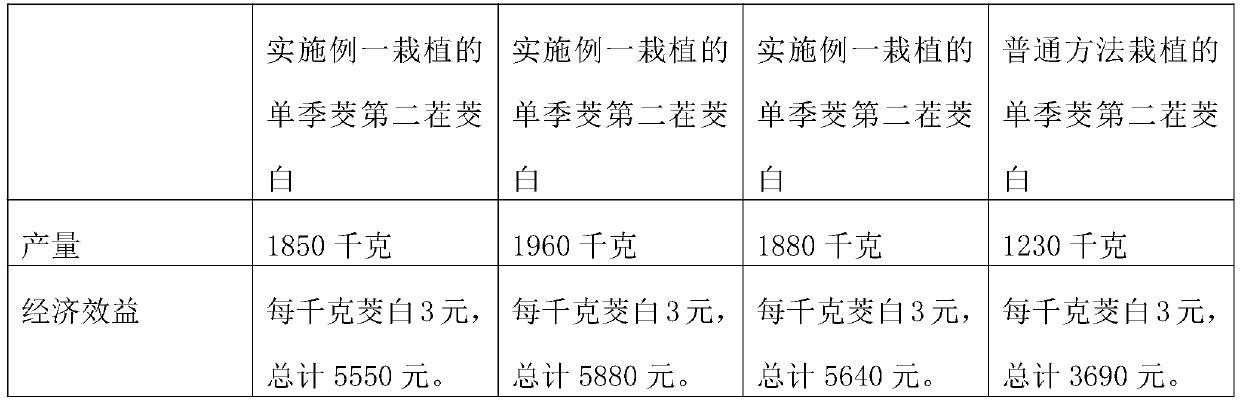 The method of increasing the number of bamboo shoots in single-season bamboo shoots