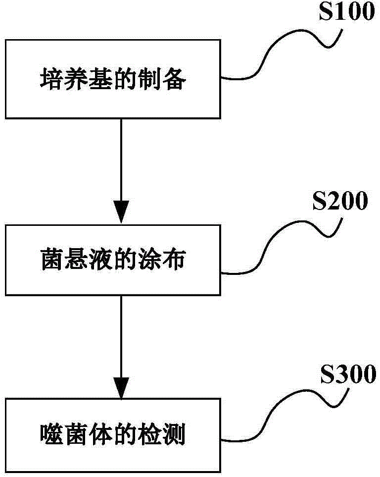 Detection method of phage