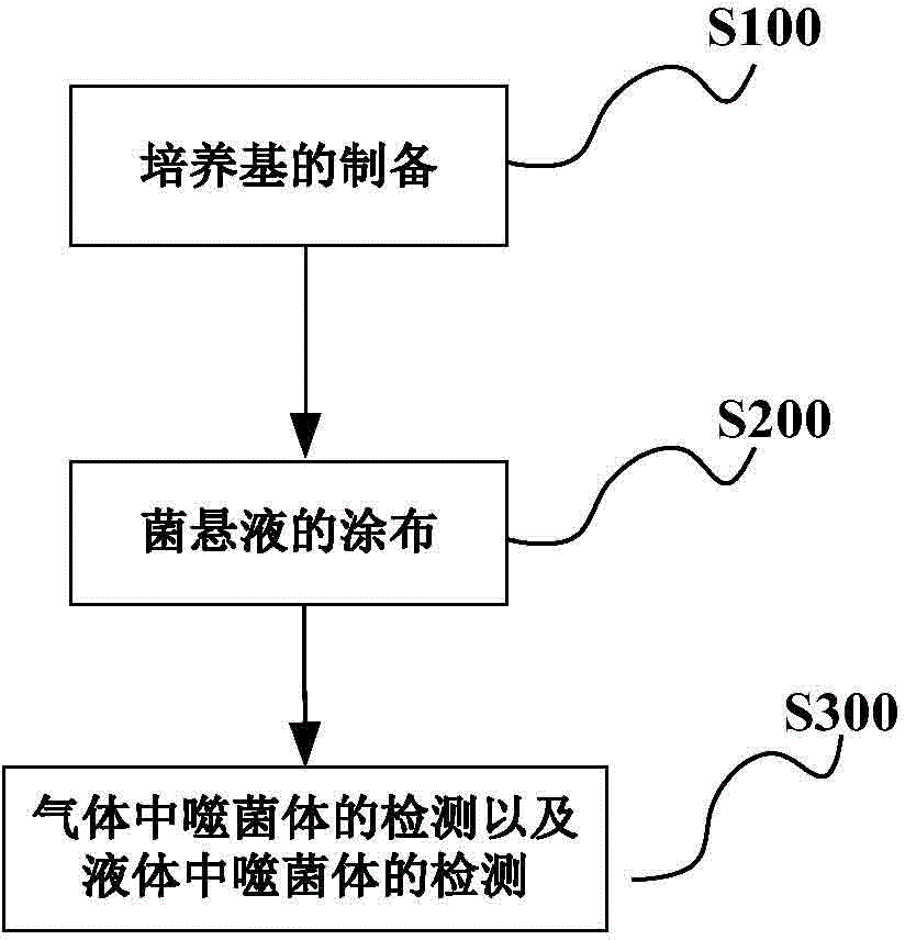 Detection method of phage