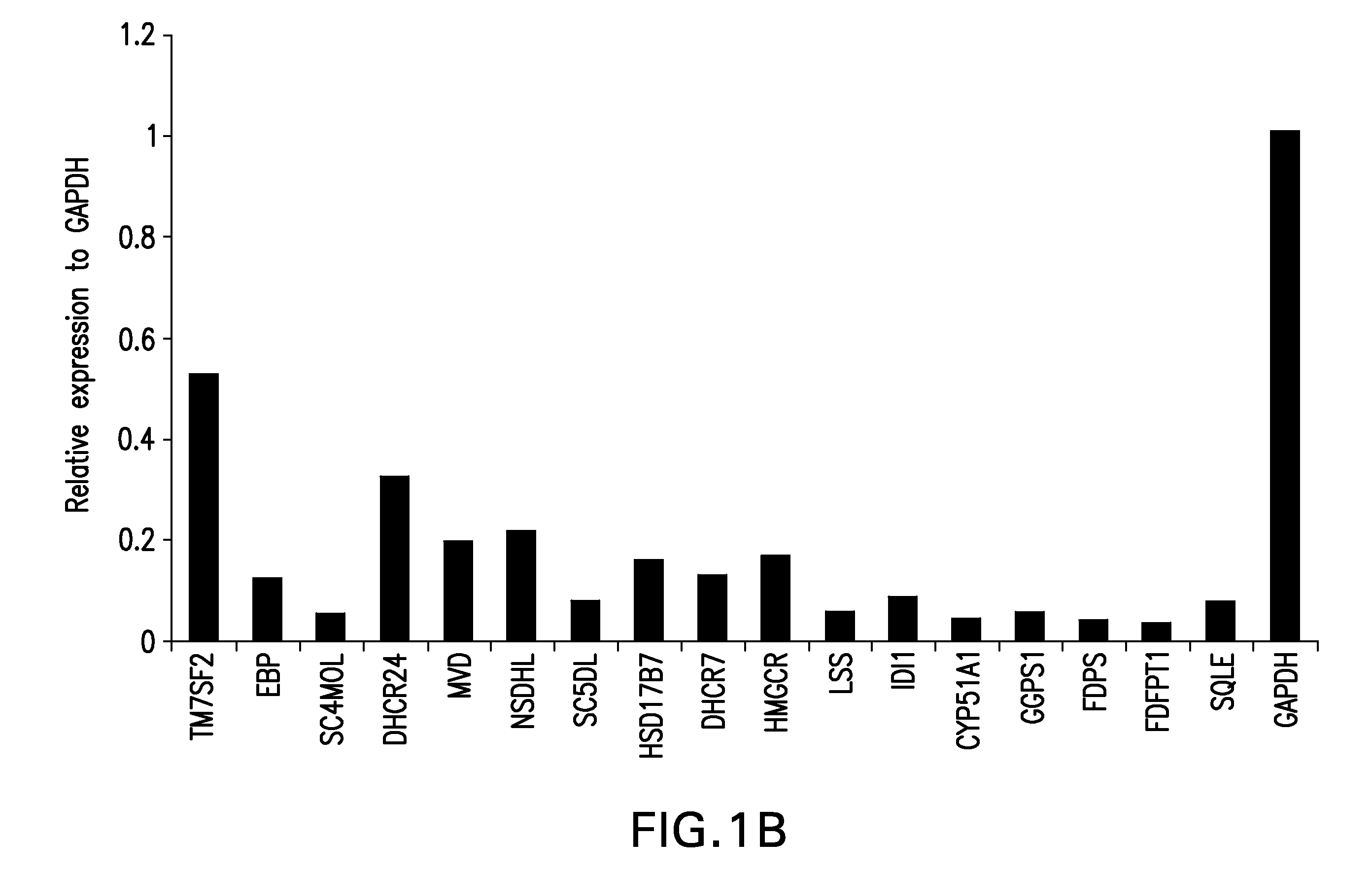 Methods of using mevalonate decarboxylase (MVD) antagonists