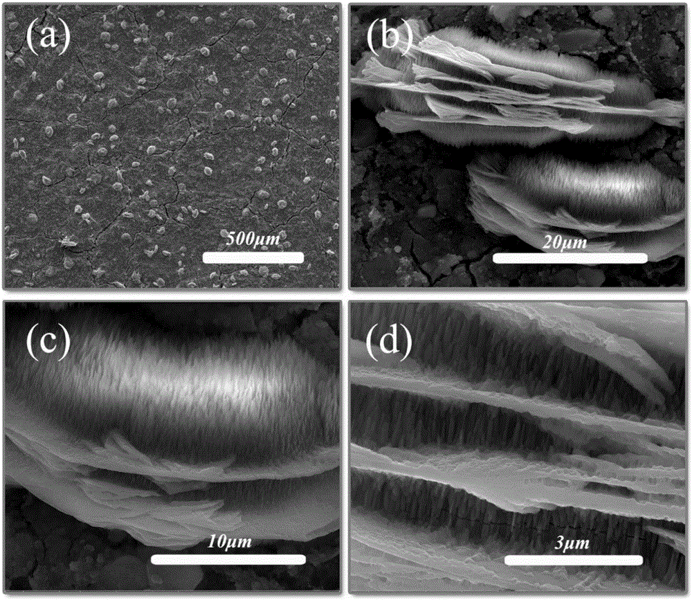 Titanium oxide columnar array/two-dimensional lamellar titanium carbide electrode material and preparation and application thereof