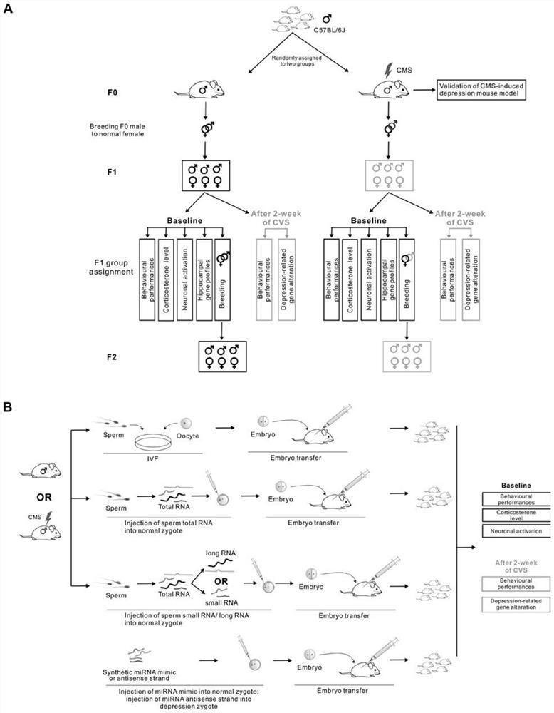 Application of miR-199a-3p in sperm in preparation of depression detection products and anti-depression drugs