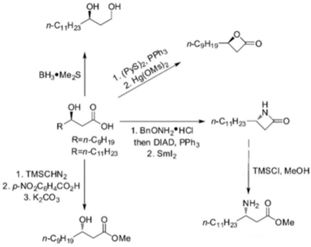 Artificial biocatalyst for converting fatty acid into beta-hydroxy fatty acid