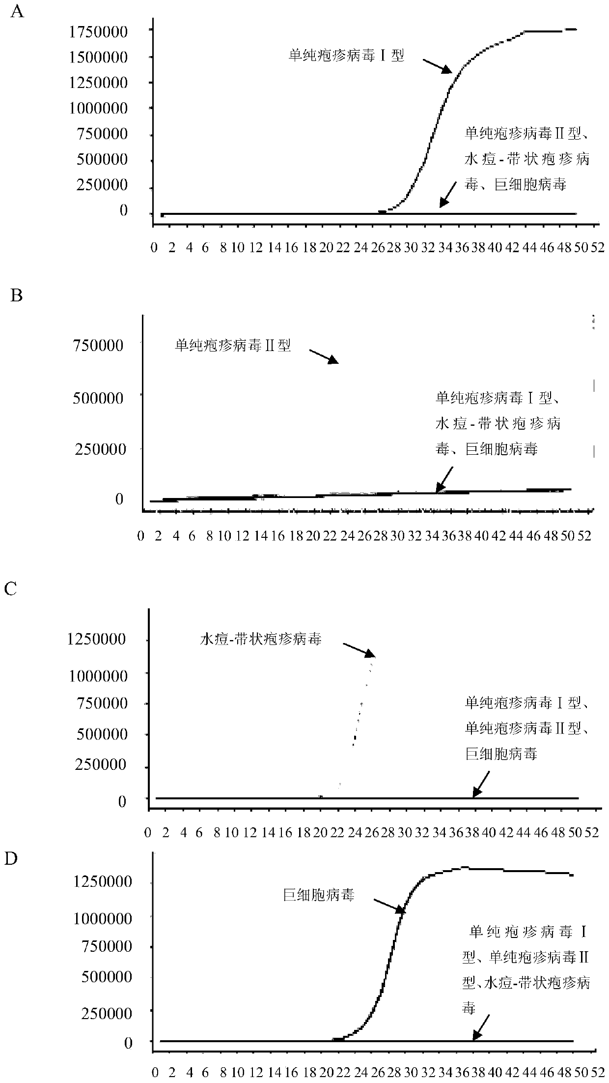 Combination and application of lamp primers for detection of 4 ophthalmic infection viruses