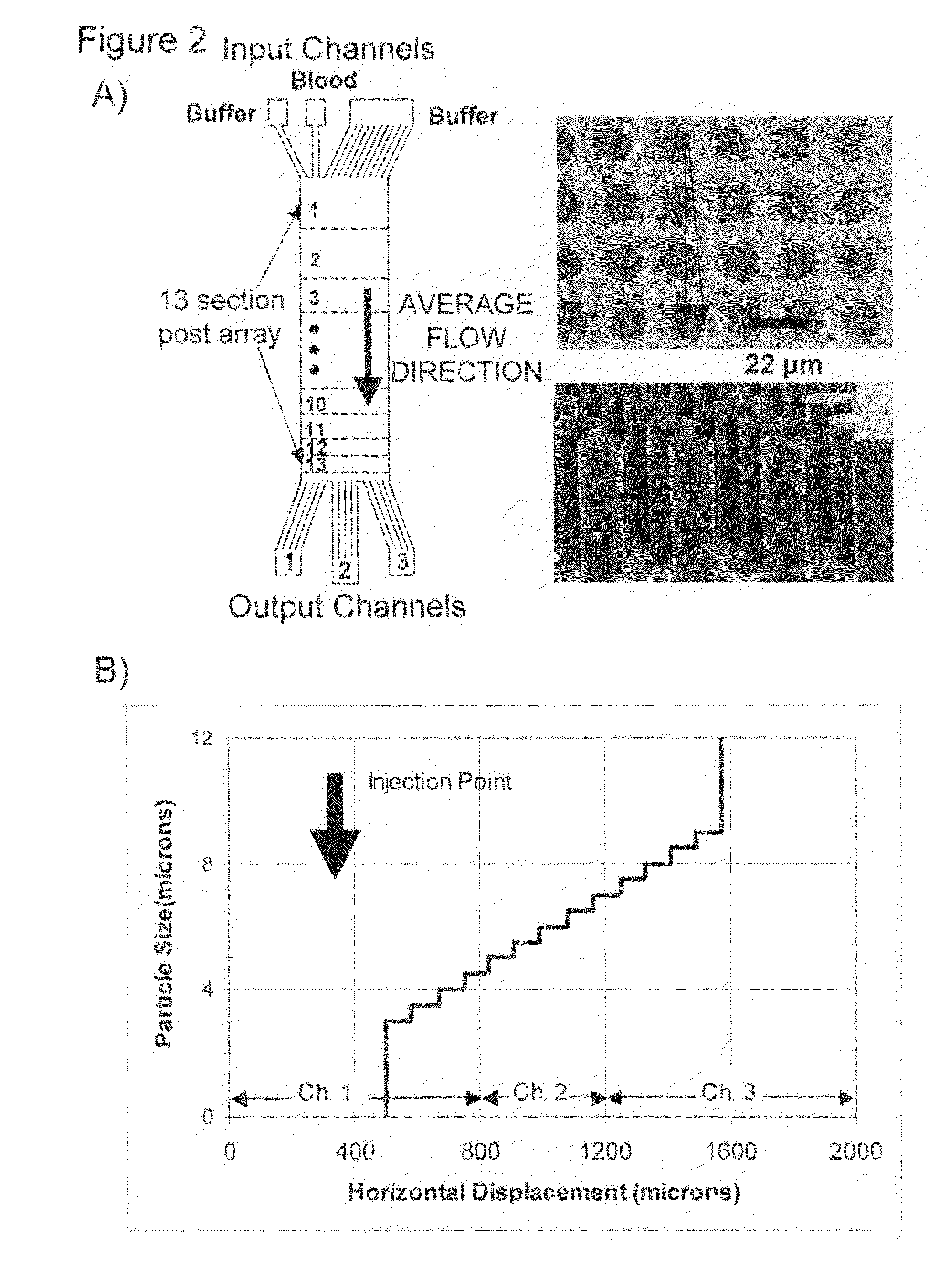 Apparatus and method for continuous particle separation