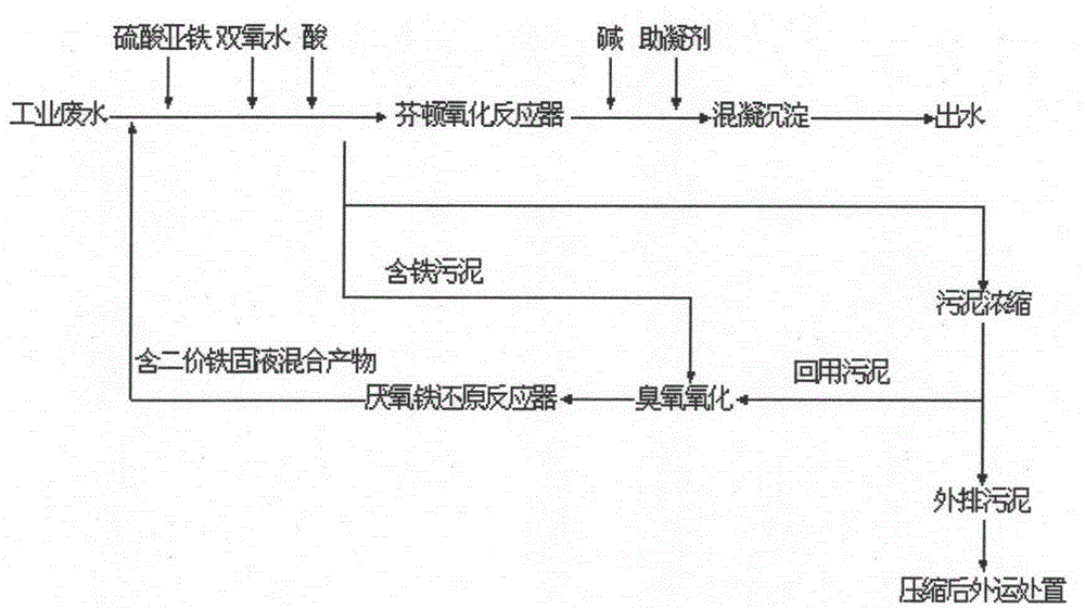 Ozone-anaerobic iron reduction combined Fenton oxidation technology for sludge reduction