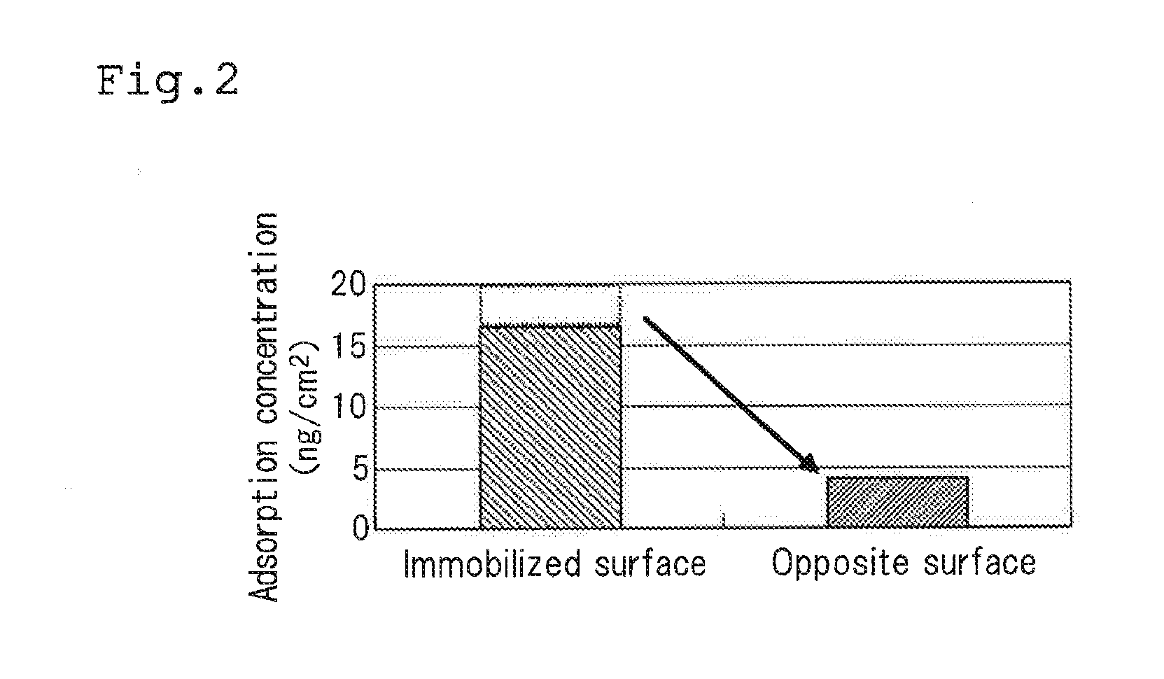 Culture container, method for culturing lymphocytes, culture-container production method, and solid-phasing apparatus