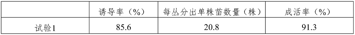 Tissue culture and rapid propagation method of wild tinospora capillipes gagnep