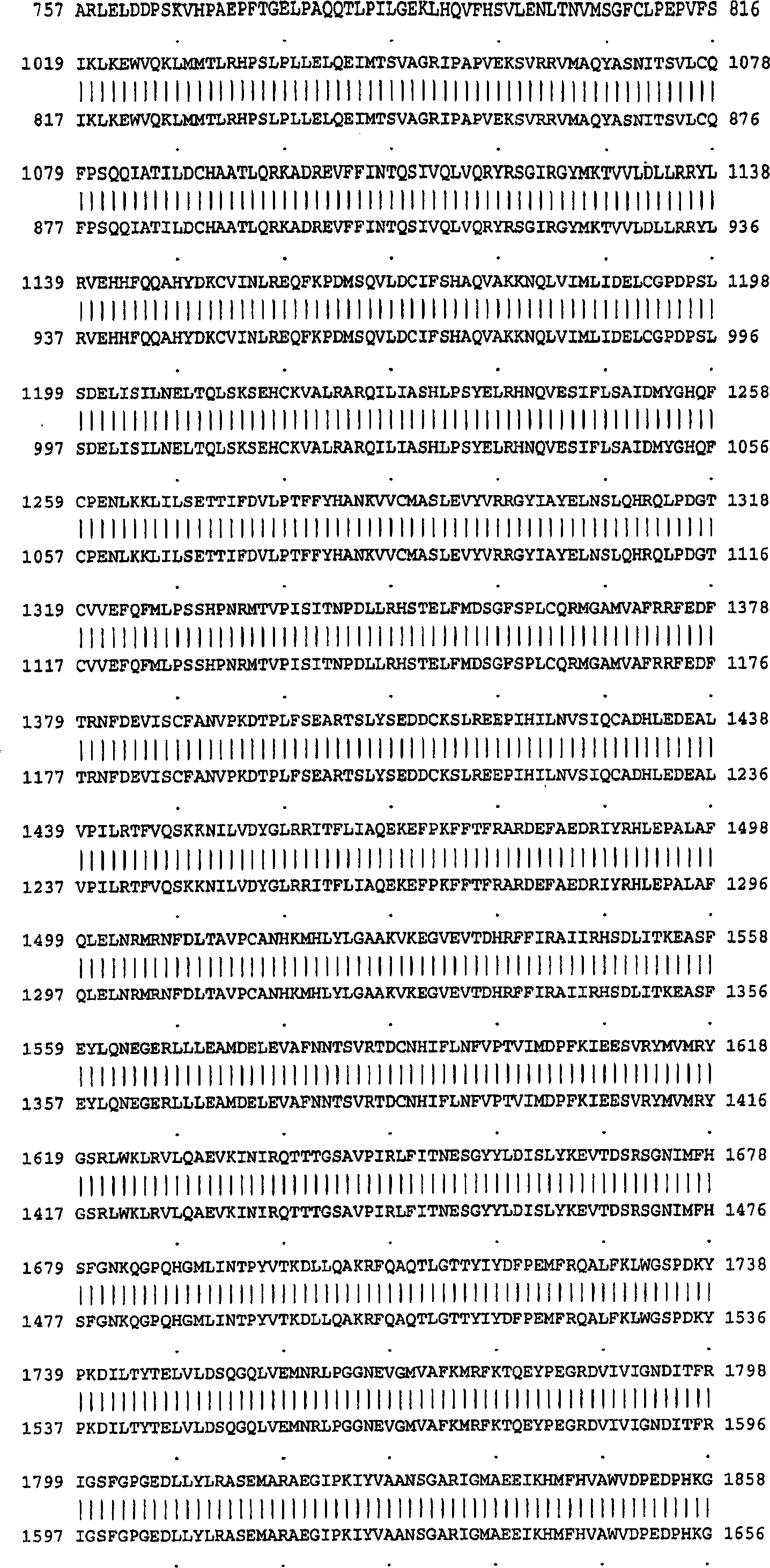 Acetyl CoA carboxylase splice variant and uses thereof