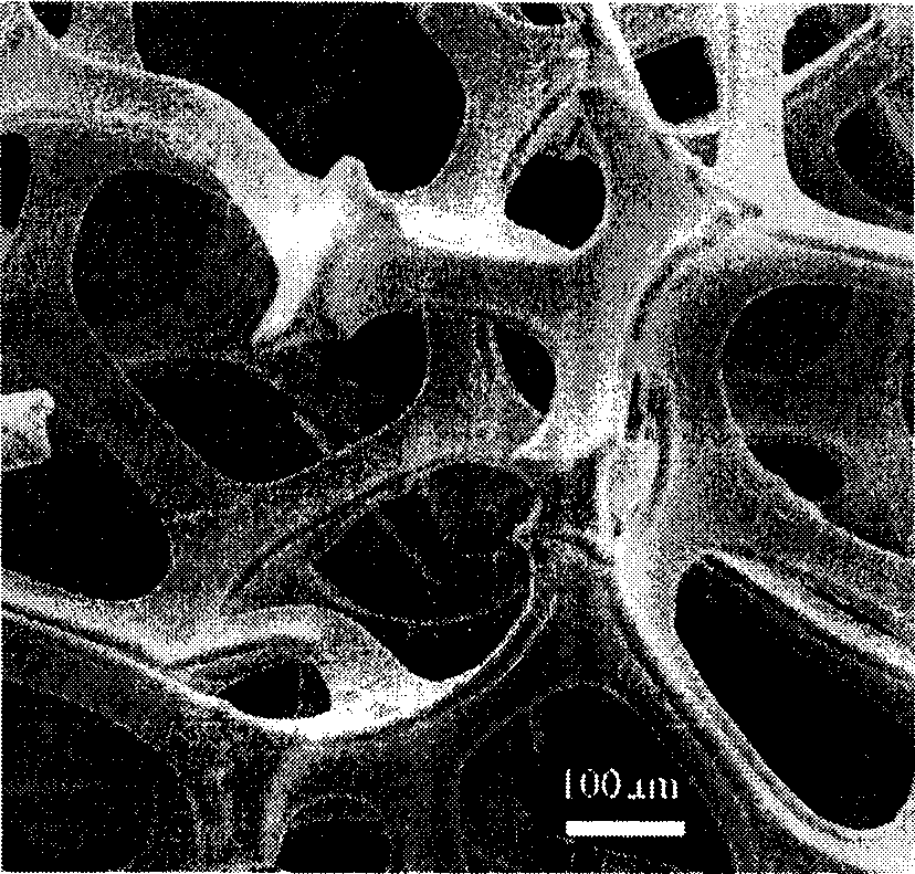 Electrochemical deposition preparation for lithium ionic cell tin-cobalt alloy film electrode