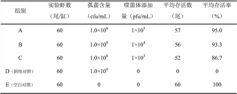 Bacteriophage for preventing and treating prawn vibrio parahaemolyticus disease and expanding culture method thereof