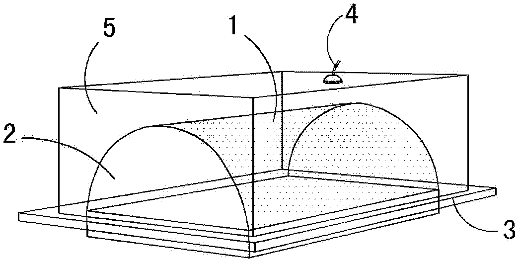 Micro-nano combined active-passive mixed sound absorption structure and control method thereof