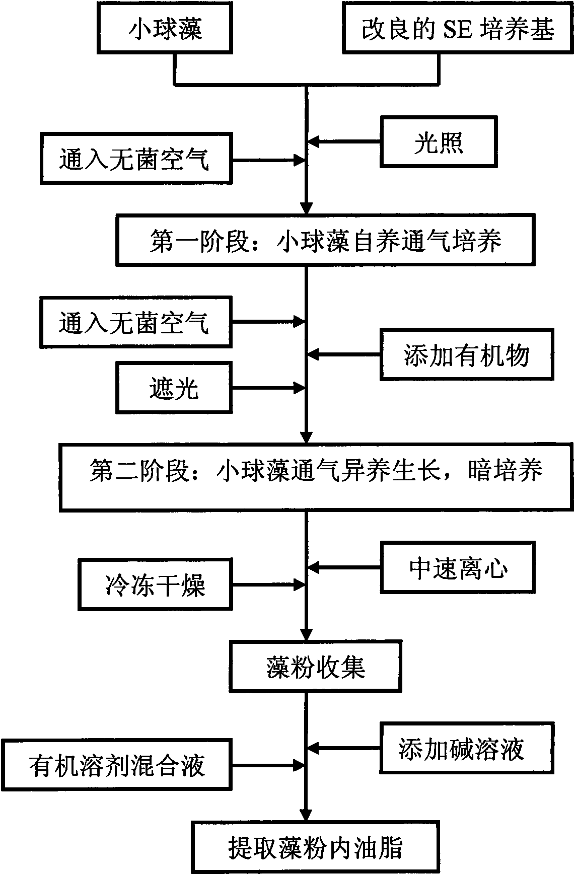 Method for quickly accumulating grease through mixotrophic sterile culture of microalgae