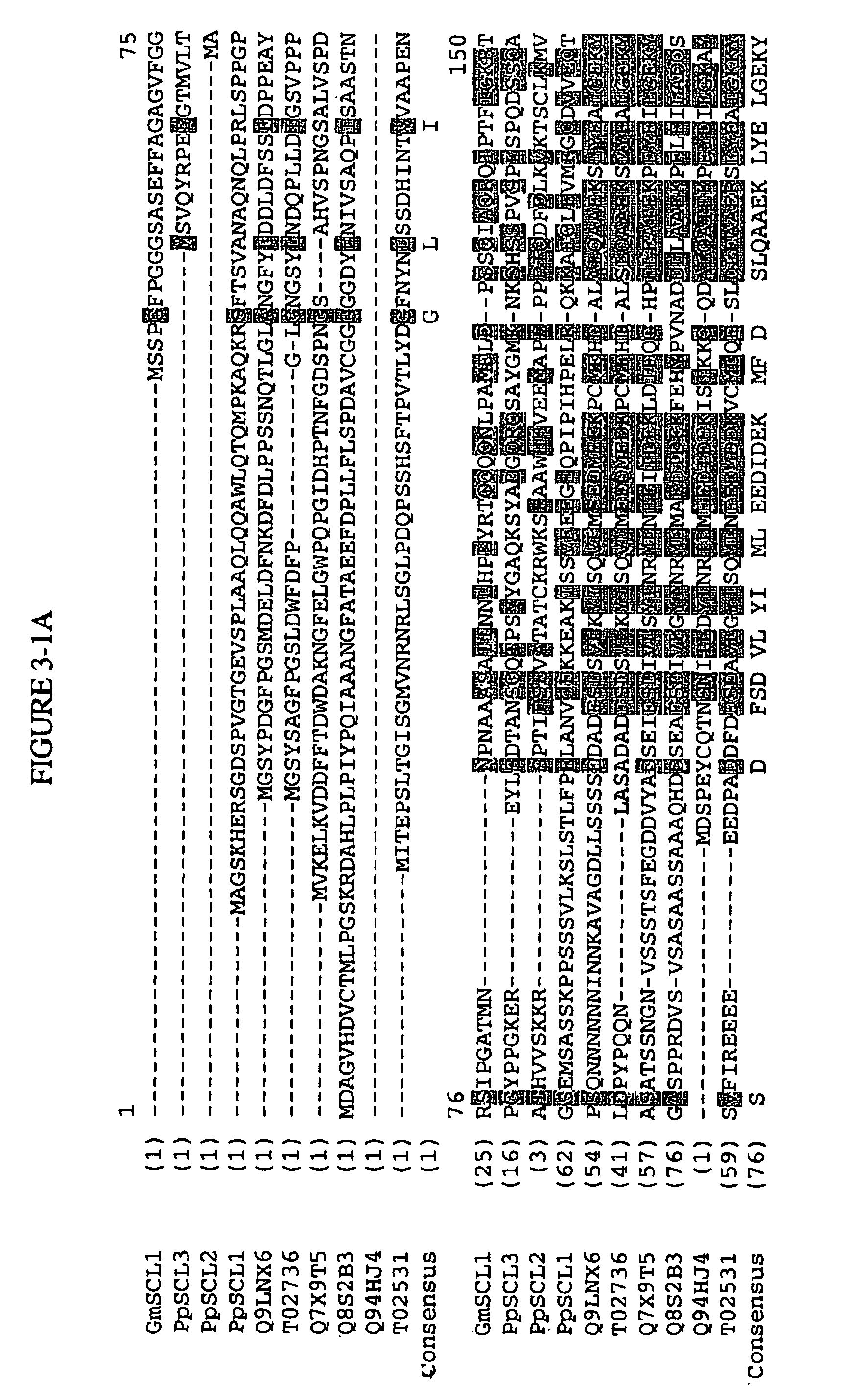 Scarecrow-Like Stress-Related Polypeptides and Methods of Use in Plants