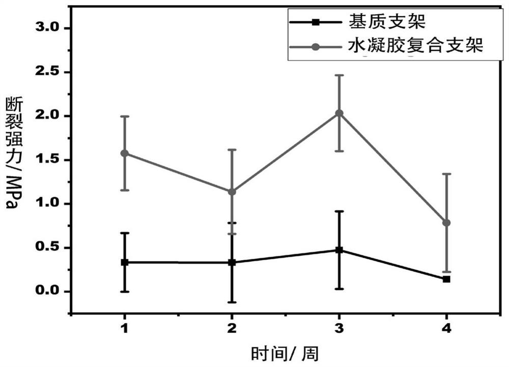 Degradable composite artificial blood vessel and preparation method and application thereof