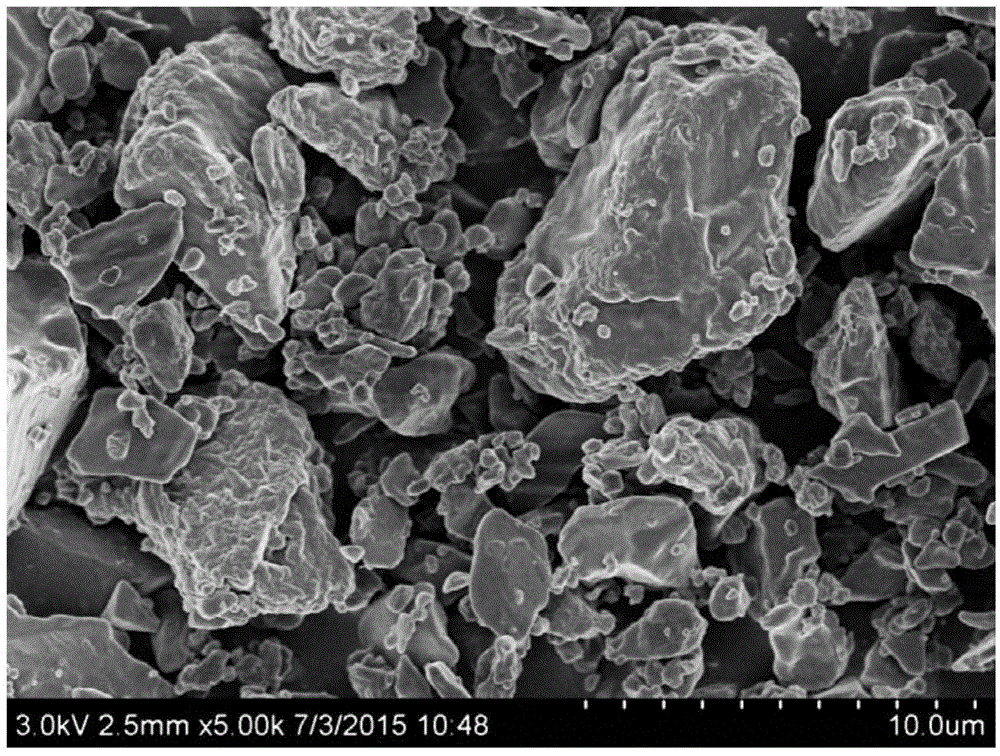 Alendronate sodium powder inhalation used for respiratory drug delivery and preparation method and application thereof