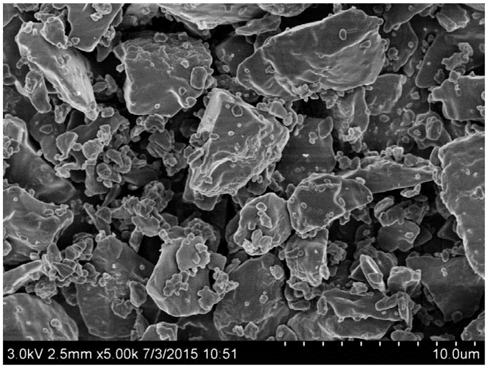 Alendronate sodium powder inhalation used for respiratory drug delivery and preparation method and application thereof