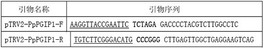 Peach fruit polygalacturonase inhibitory protein PpPGIP1 gene as well as cloning method and application thereof