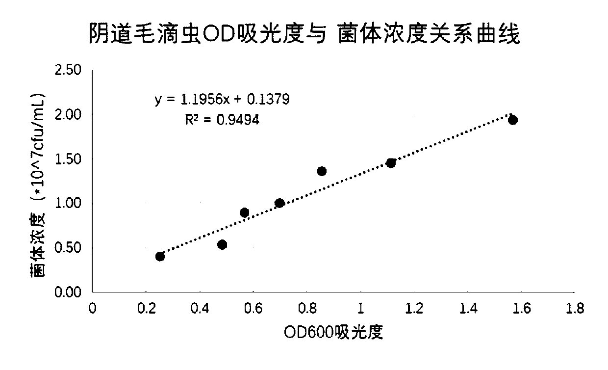 Trichomonas vaginalis fluorescence immunochromatographic assay kit and preparation method thereof