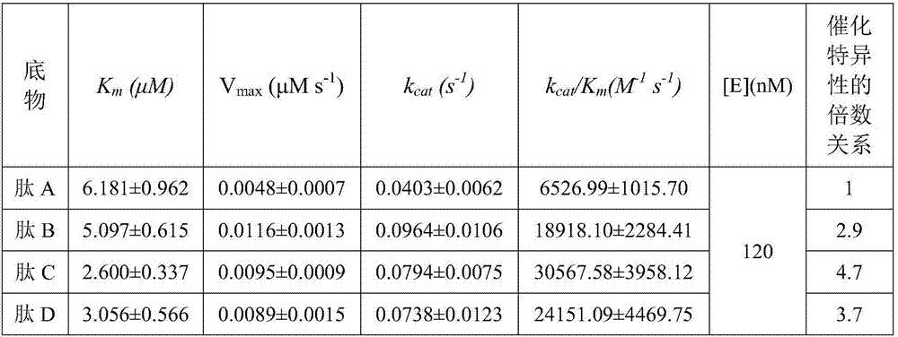 High-specificity MMP-14 substrate peptide, preparation method and applications thereof