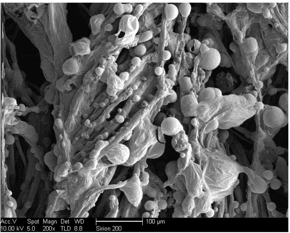 Fabric with flame-retardant function and anti-bacterial function and manufacturing method of fabric