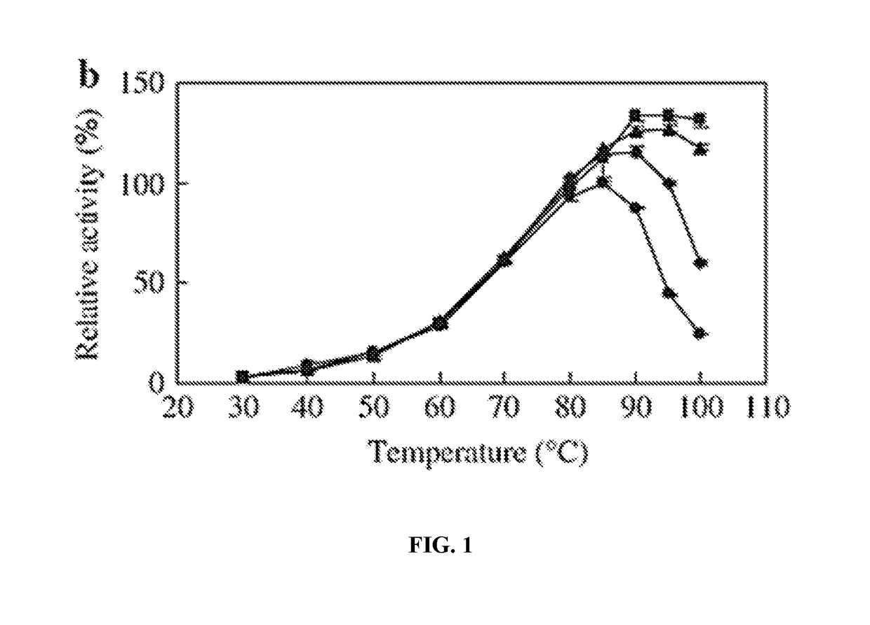 Methods and compositions for high-efficiency production of biofuel and/or biomass