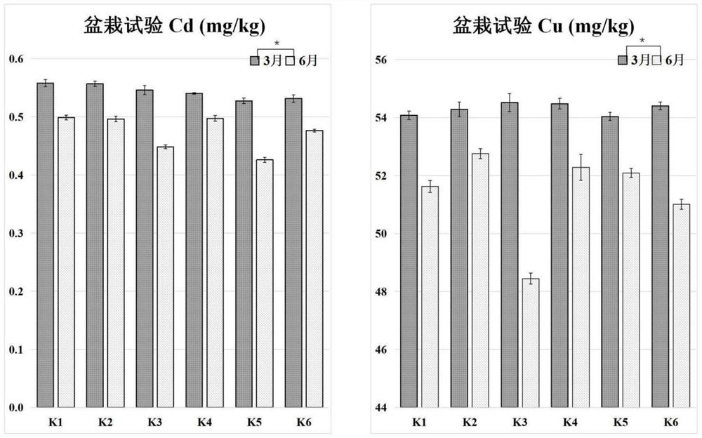 Method for regulating and controlling intercropping of sedum plumbizincicola and astragalus sinicus to restore farmland soil subjected to combined pollution of heavy metal and organic pollutants