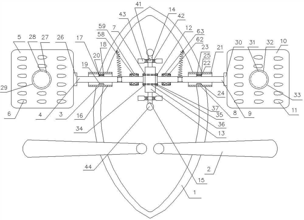 Fish fry releasing device and operation method