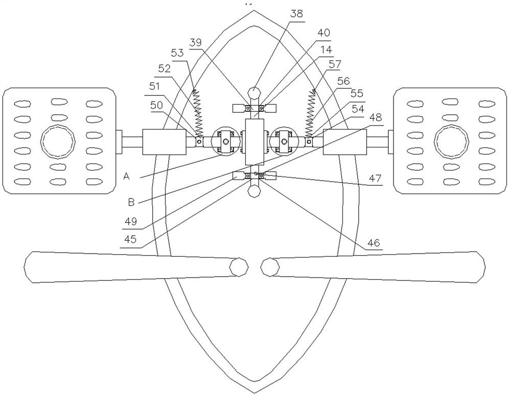 Fish fry releasing device and operation method