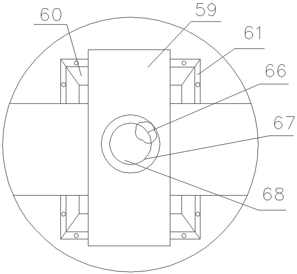 Fish fry releasing device and operation method