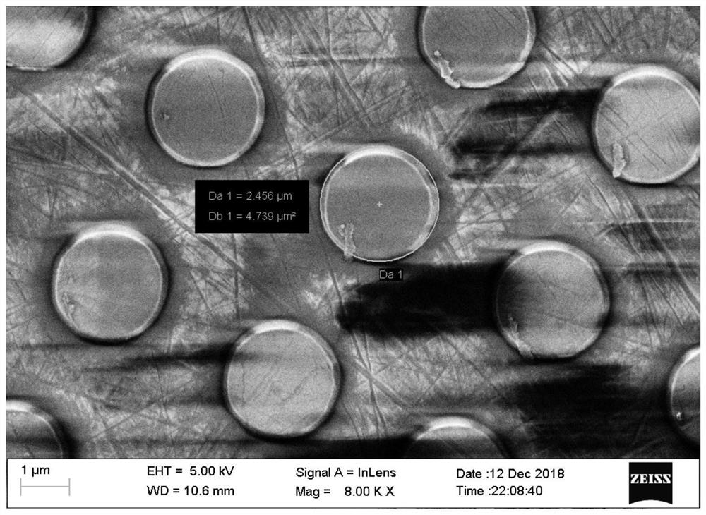 A kind of biosensor based on dielectric nanoantenna, preparation method and application