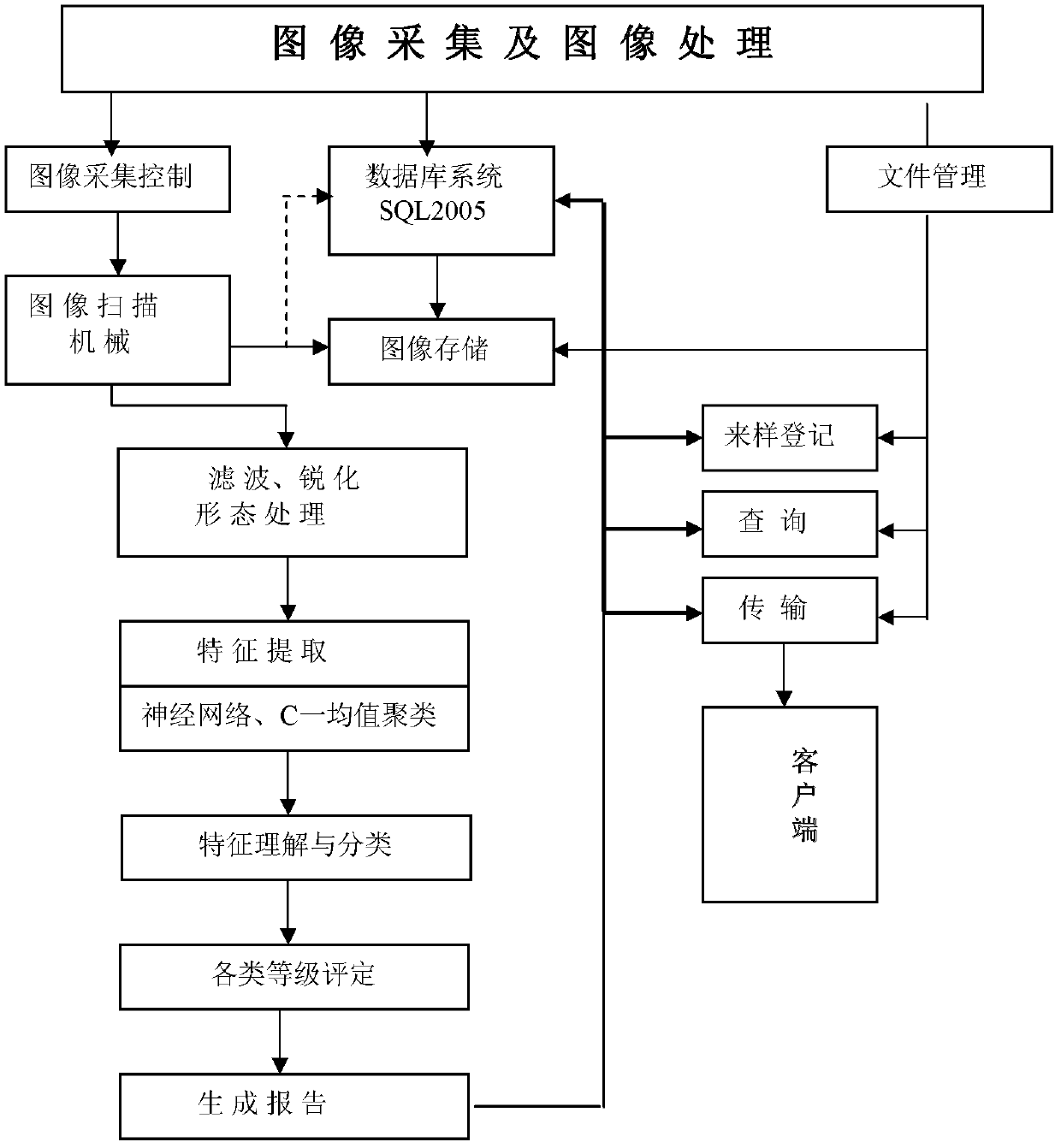 Automatic imaging detection analysis processing system for macroscopic test