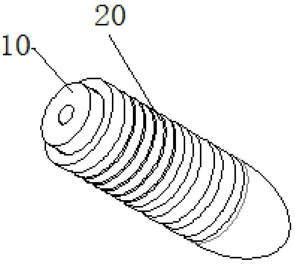 Fixing device, fixing method and application method for reconstruction of cruciate ligaments