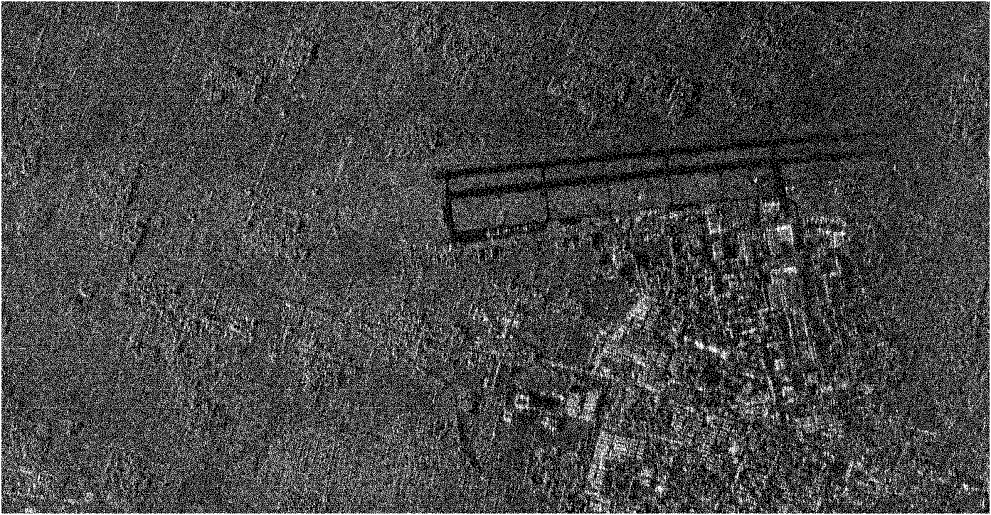 Doppler wave beam sharpening rapid imaging method of mechanical scanning radar