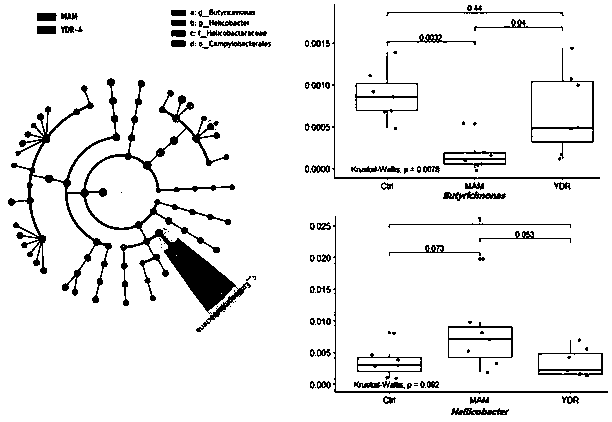 Mongolian medicine composition and use thereof