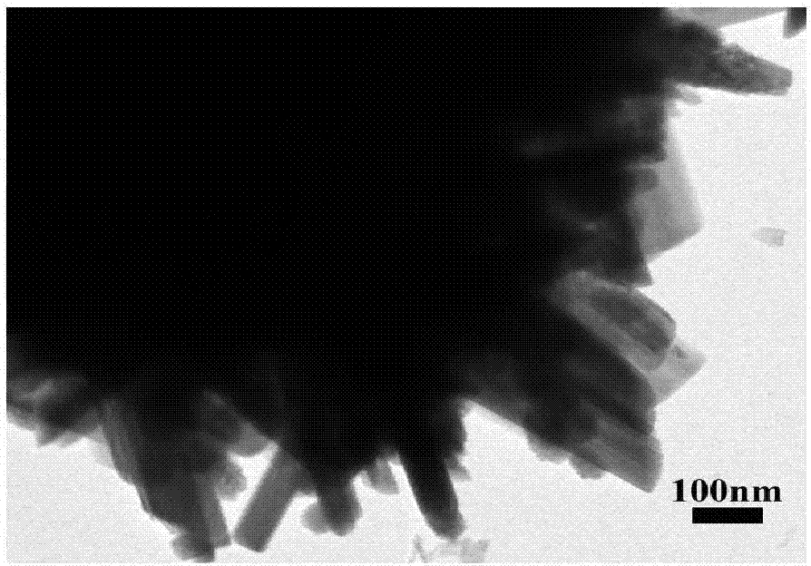 Preparation method and application of a sea urchin-like vanadium-based nano-electrode material