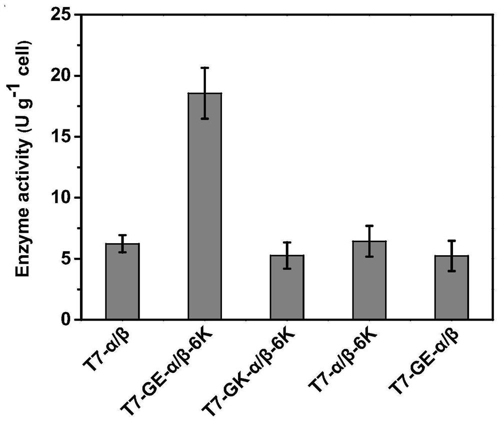 Expression cassette for recombinant expression of echinocandin B deacylase and application thereof