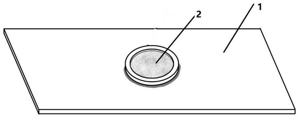 A method for tracing nerve fiber bundles in light-colored antennae of insects