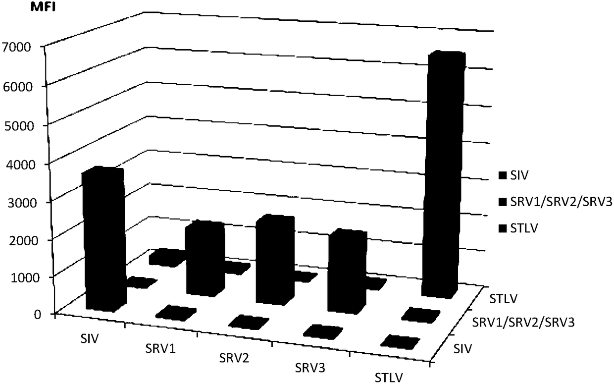 A detection primer set and method capable of simultaneously detecting and distinguishing siv, srv, stlv