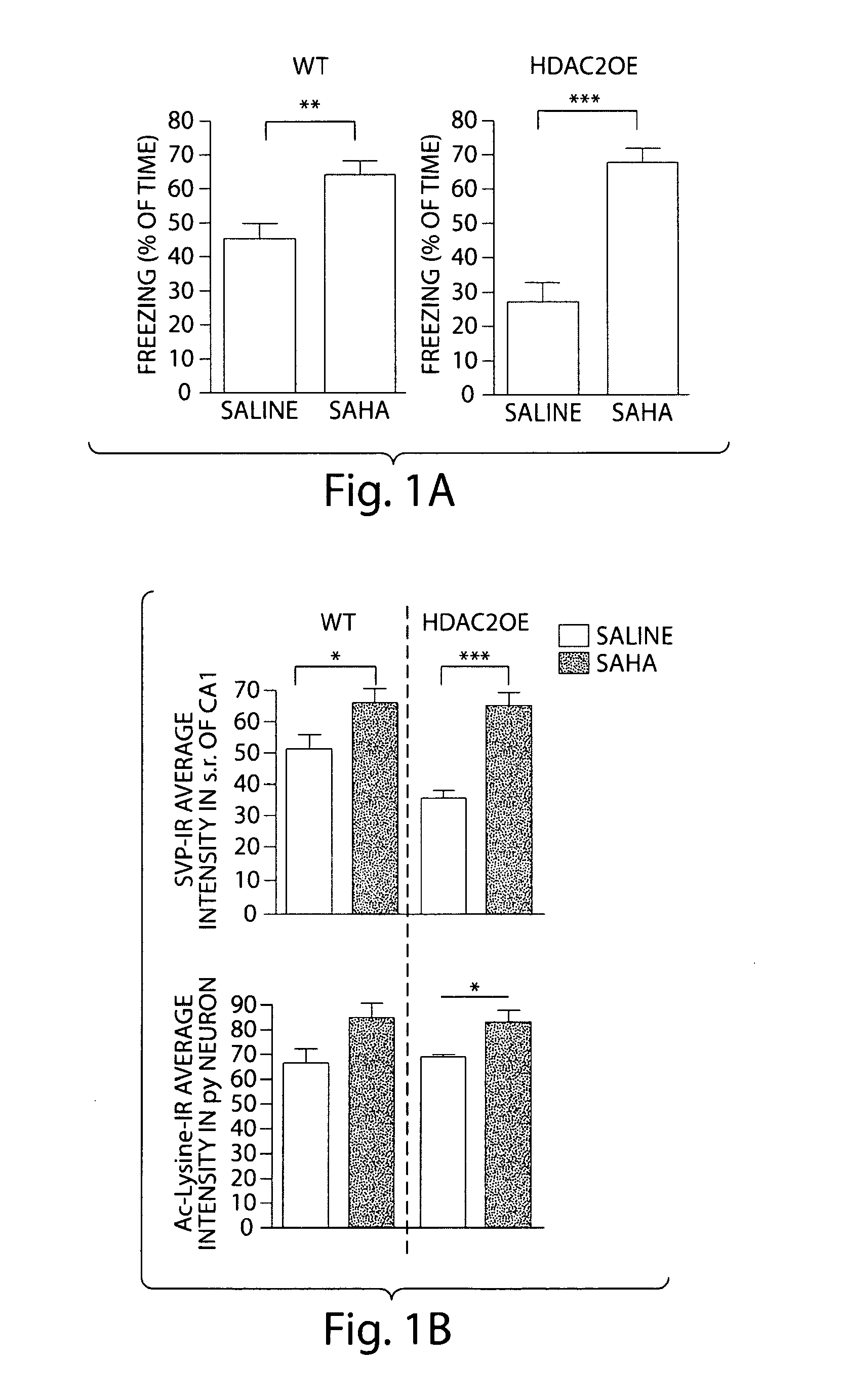 Inhibition of hdac2 to promote memory