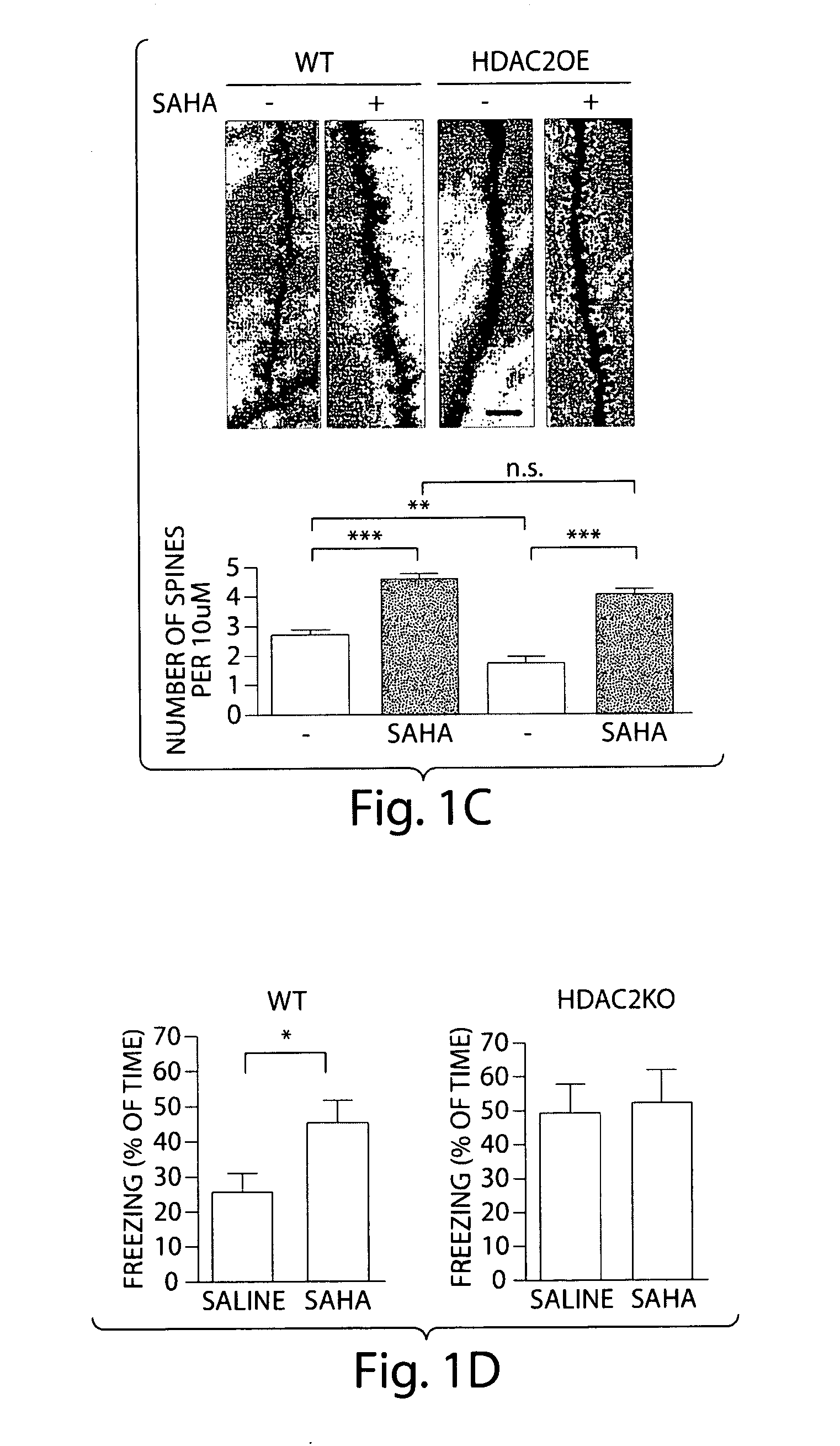 Inhibition of hdac2 to promote memory