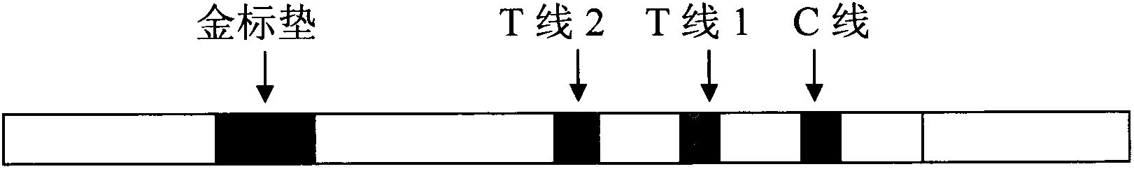 Early stage prostate cancer semi-quantitative diagnosis method utilizing double indication line immunity chromatography