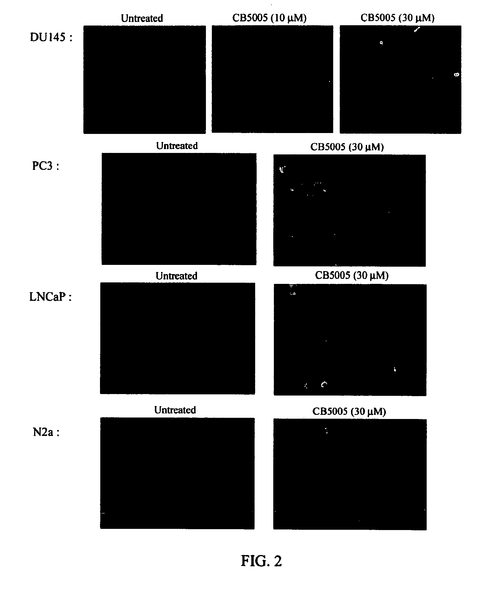 Composition and method for increasing apoptosis in cancer cells