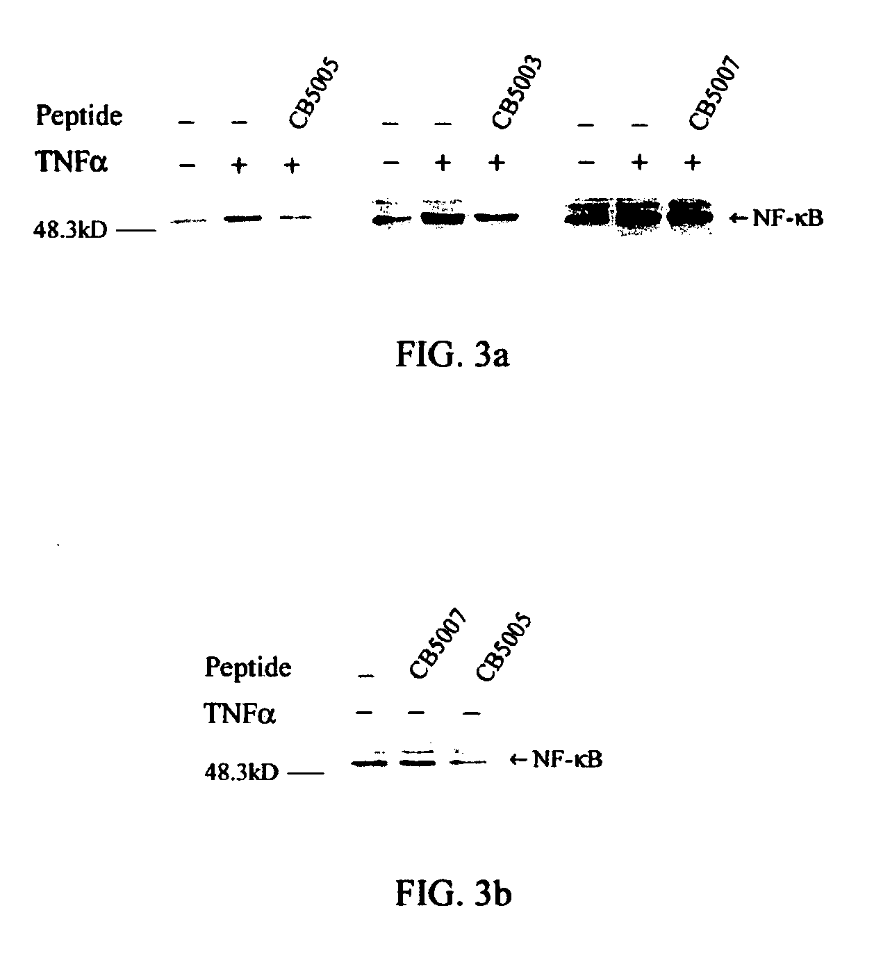 Composition and method for increasing apoptosis in cancer cells