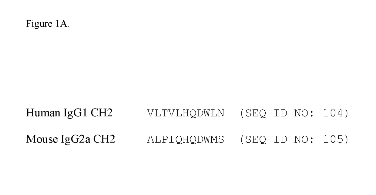 Engineered Multispecific Antibodies and Other Multimeric Proteins with Asymmetrical CH2-CH3 Region Mutations