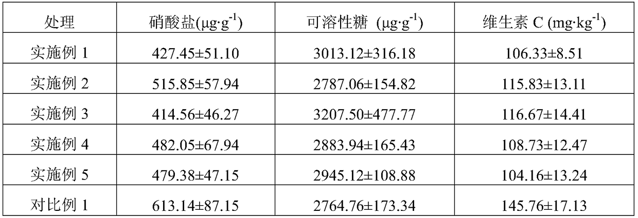 Biomass charcoal-based nitrogenous fertilizer and preparation method thereof