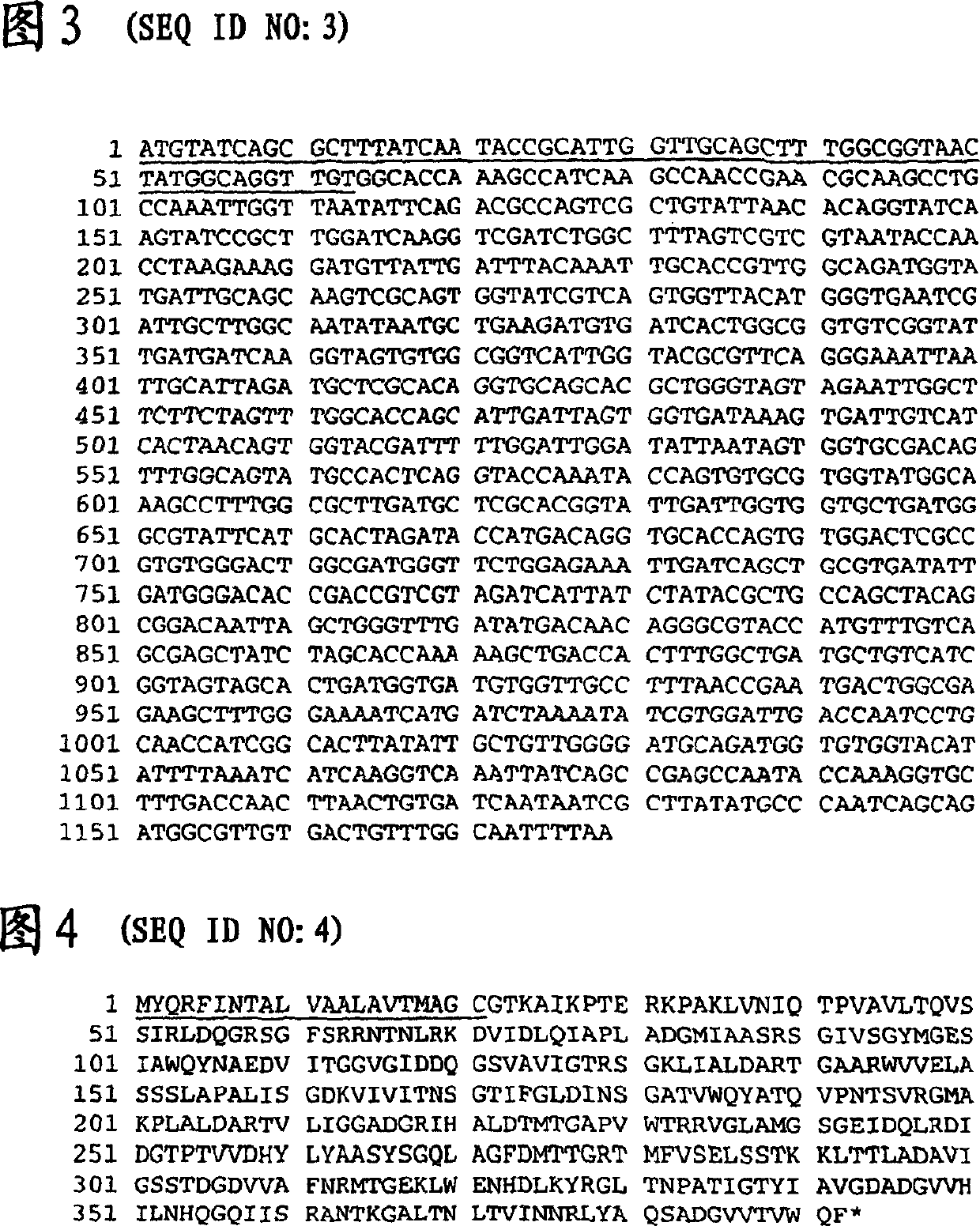 Moraxella (branhamella) catarrhalis antigens