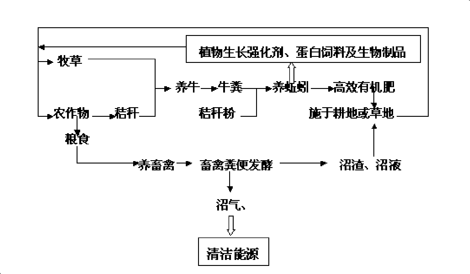 High-efficiency organic circulating agricultural production system