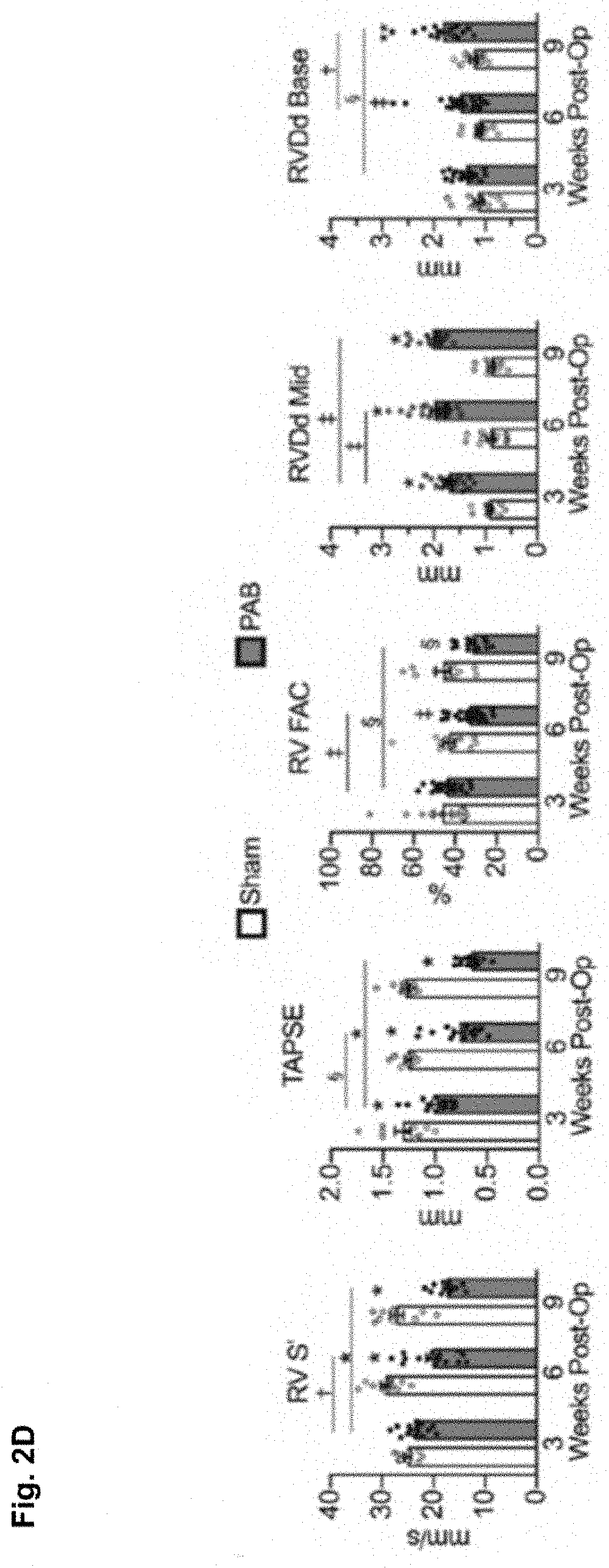 Pharmacologic treatment for right ventricular failure