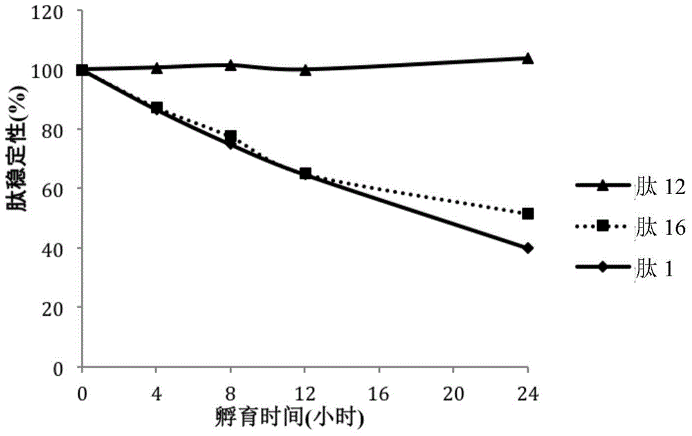 Polypeptide, polypeptide derivative, medicinal salt of polypeptide and pharmaceutical composition